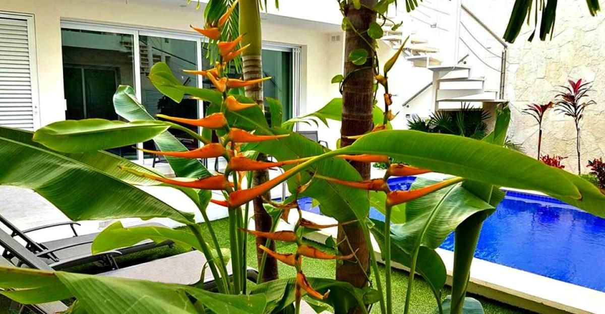 Estrella Del Mar - Condo 101 Isla Mujeres Ngoại thất bức ảnh